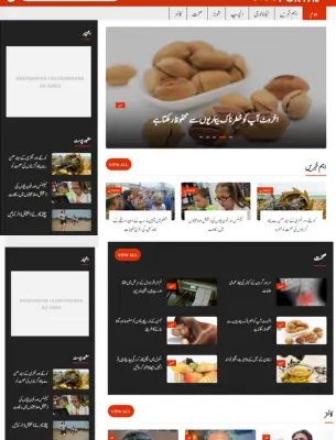 Urdu Portal magazine Template